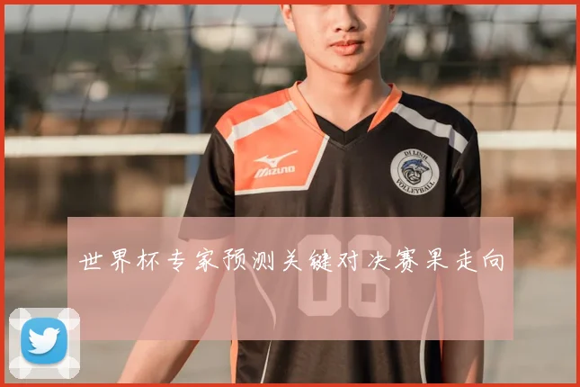 世界杯专家预测关键对决赛果走向
