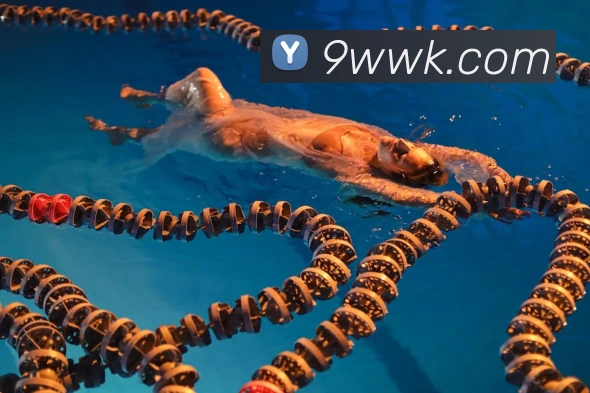 爱游戏app中国官网APP 封面图